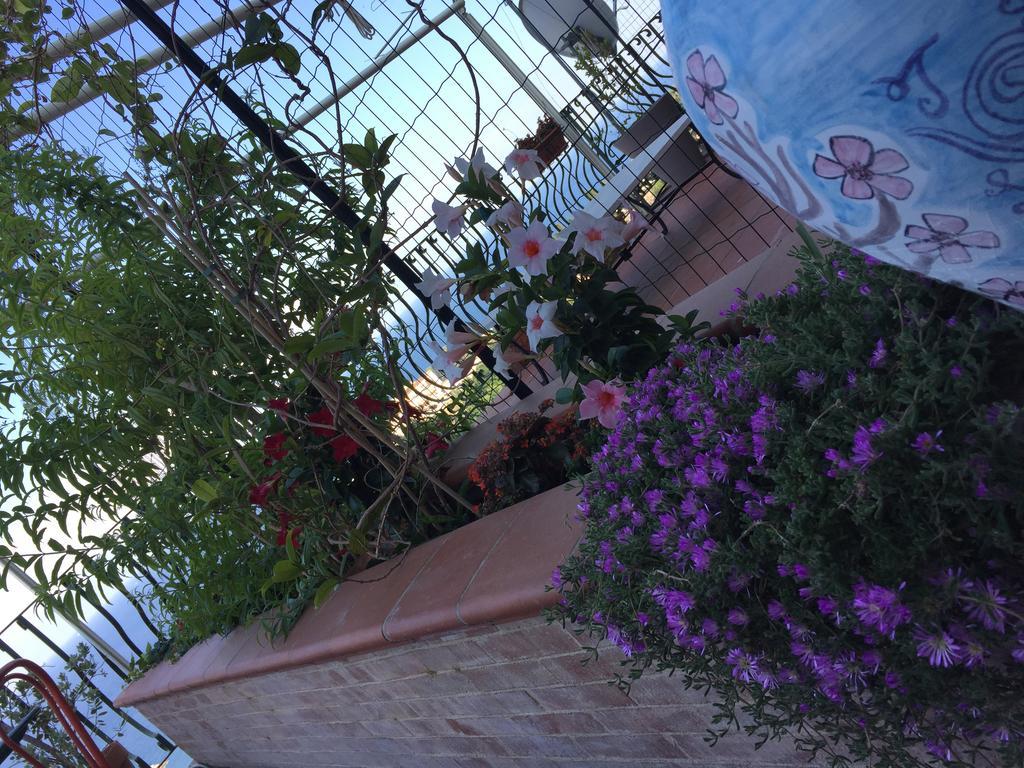 B&B La Terrazza Sul Mare Taormina Dış mekan fotoğraf